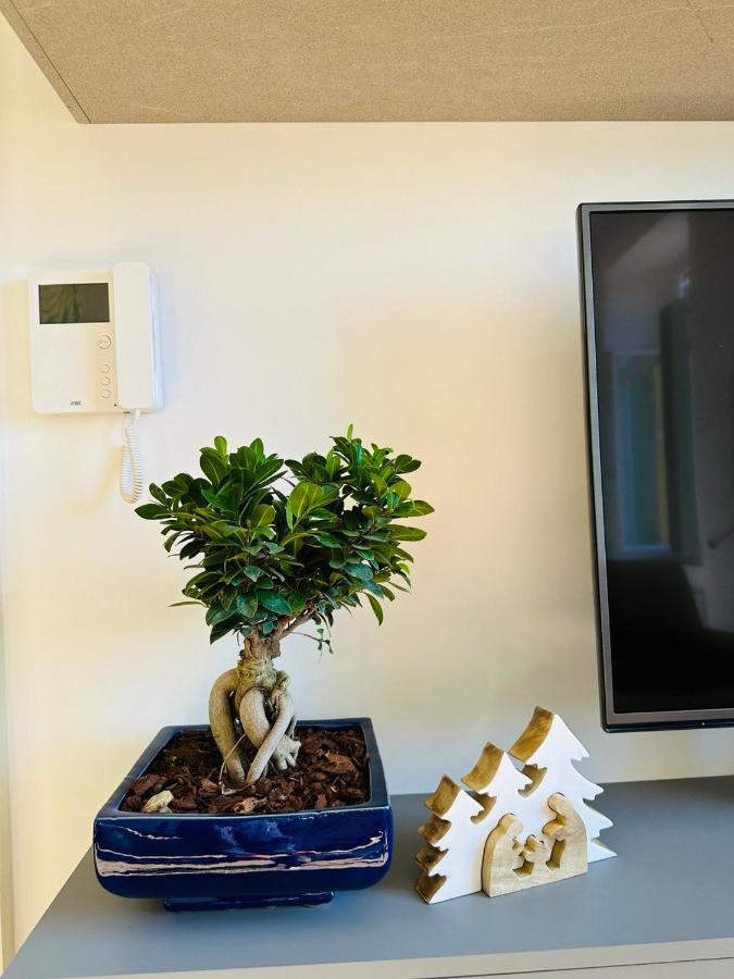 Alocasia Luxury Stay 萨莱诺 外观 照片